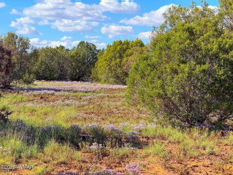 Tiny photo for 8026 Colt Ln. Lot 4 LN, Show Low, AZ 85901 (MLS # 263173)