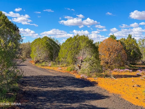 Tiny photo for 8026 Colt Ln. Lot 4 LN, Show Low, AZ 85901 (MLS # 263173)