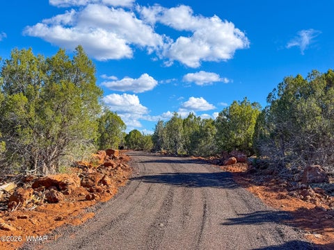 Tiny photo for 8026 Colt Ln. Lot 4 LN, Show Low, AZ 85901 (MLS # 263173)