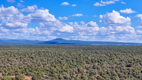 Tiny photo for 8026 Colt Ln. Lot 4 LN, Show Low, AZ 85901 (MLS # 263173)