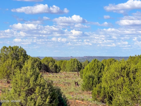 Tiny photo for 8026 Colt Ln. Lot 4 LN, Show Low, AZ 85901 (MLS # 263173)