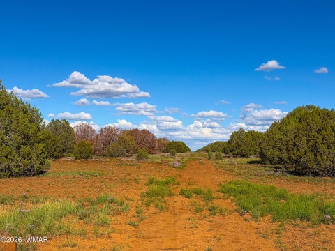 Tiny photo for 8026 Colt Ln. Lot 4 LN, Show Low, AZ 85901 (MLS # 263173)