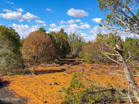 Tiny photo for 8026 Colt Ln. Lot 4 LN, Show Low, AZ 85901 (MLS # 263173)
