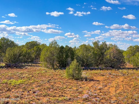 Tiny photo for 8026 Colt Ln. Lot 4 LN, Show Low, AZ 85901 (MLS # 263173)