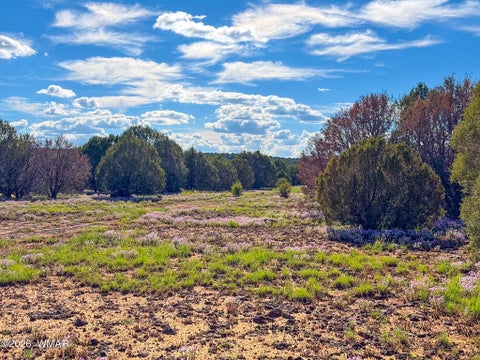 Tiny photo for 8026 Colt Ln. Lot 4 LN, Show Low, AZ 85901 (MLS # 263173)