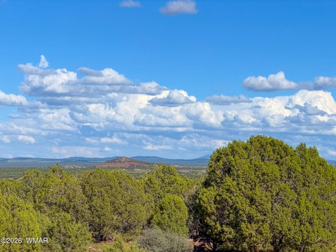 Tiny photo for 8026 Colt Ln. Lot 4 LN, Show Low, AZ 85901 (MLS # 263173)