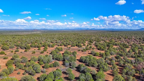 Tiny photo for 8026 Colt Ln. Lot 4 LN, Show Low, AZ 85901 (MLS # 263173)