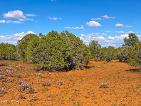 Tiny photo for 8026 Colt Ln. Lot 4 LN, Show Low, AZ 85901 (MLS # 263173)