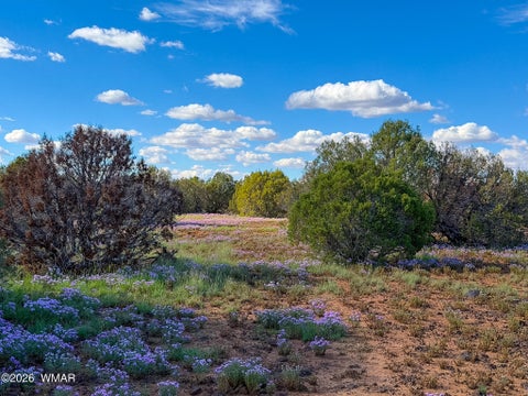 Tiny photo for 8026 Colt Ln. Lot 4 LN, Show Low, AZ 85901 (MLS # 263173)