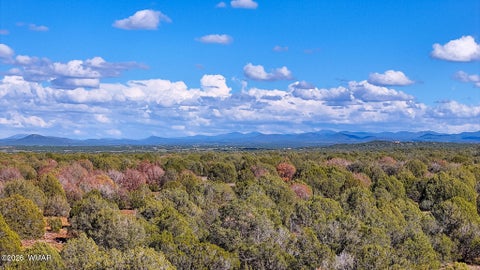 Tiny photo for 8026 Colt Ln. Lot 4 LN, Show Low, AZ 85901 (MLS # 263173)