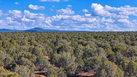 Tiny photo for 8026 Colt Ln. Lot 4 LN, Show Low, AZ 85901 (MLS # 263173)