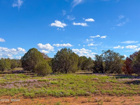 Tiny photo for 8026 Colt Ln. Lot 4 LN, Show Low, AZ 85901 (MLS # 263173)