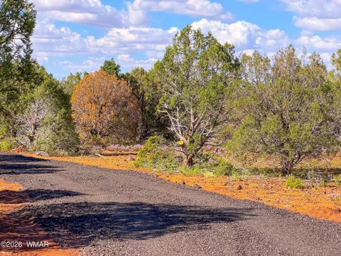 Tiny photo for 8026 Colt Ln. Lot 4 LN, Show Low, AZ 85901 (MLS # 263173)