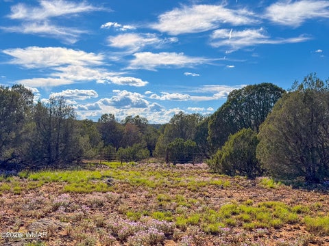 Tiny photo for 8026 Colt Ln. Lot 4 LN, Show Low, AZ 85901 (MLS # 263173)