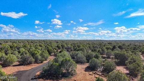 Tiny photo for 8026 Colt Ln. Lot 4 LN, Show Low, AZ 85901 (MLS # 263173)