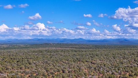 Tiny photo for 8026 Colt Ln. Lot 4 LN, Show Low, AZ 85901 (MLS # 263173)