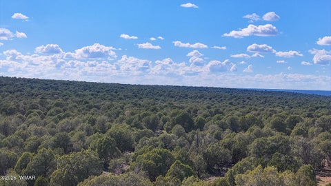Tiny photo for 8026 Colt Ln. Lot 4 LN, Show Low, AZ 85901 (MLS # 263173)