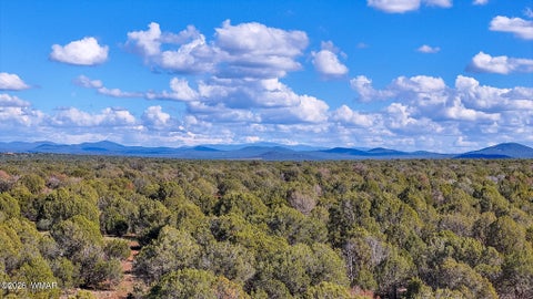 Tiny photo for 8026 Colt Ln. Lot 4 LN, Show Low, AZ 85901 (MLS # 263173)