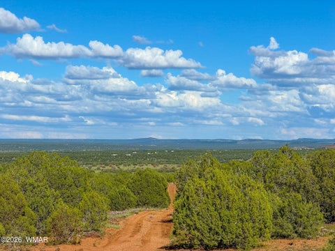 Tiny photo for 8026 Colt Ln. Lot 4 LN, Show Low, AZ 85901 (MLS # 263173)