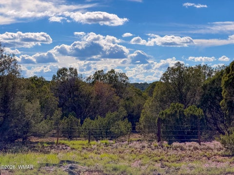 Tiny photo for 8026 Colt Ln. Lot 4 LN, Show Low, AZ 85901 (MLS # 263173)