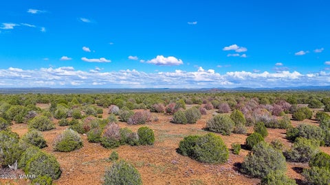 Tiny photo for 8026 Colt Ln. Lot 4 LN, Show Low, AZ 85901 (MLS # 263173)