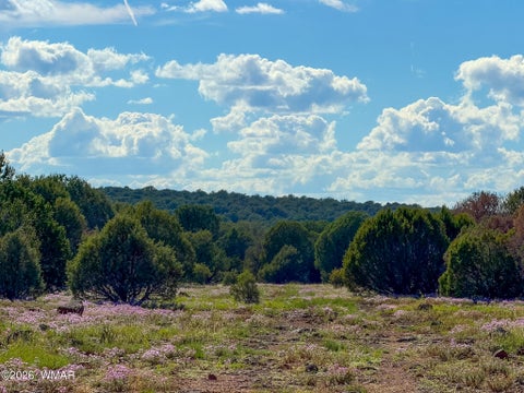 Tiny photo for 8026 Colt Ln. Lot 4 LN, Show Low, AZ 85901 (MLS # 263173)