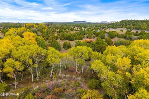 Tiny photo for 5 N3479, Vernon, AZ 85940 (MLS # 256877)