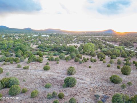 Tiny photo for 5 N3479, Vernon, AZ 85940 (MLS # 256877)