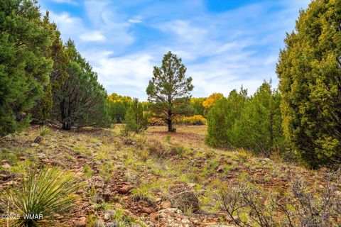 Tiny photo for 5 N3479, Vernon, AZ 85940 (MLS # 256877)