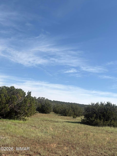 Tiny photo for 80 County Road, Concho, AZ 85924 (MLS # 262928)