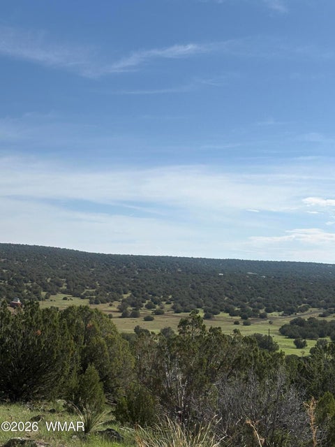 Photo of 80 County Road, Concho, AZ 85924 (MLS # 262928)