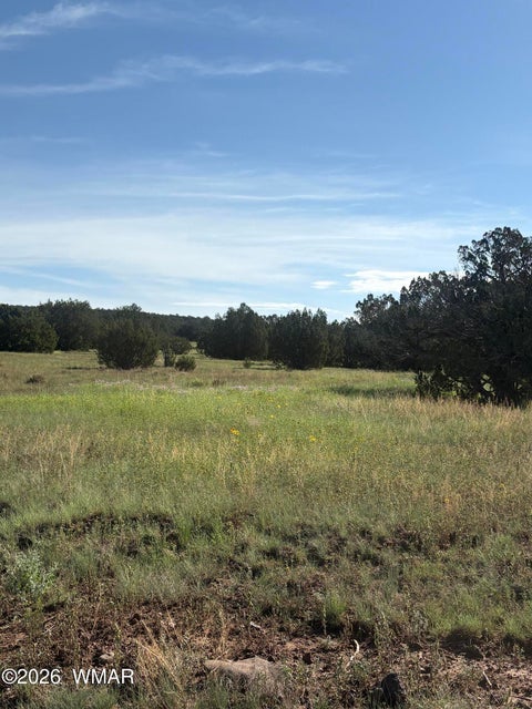 Tiny photo for 80 County Road, Concho, AZ 85924 (MLS # 262928)
