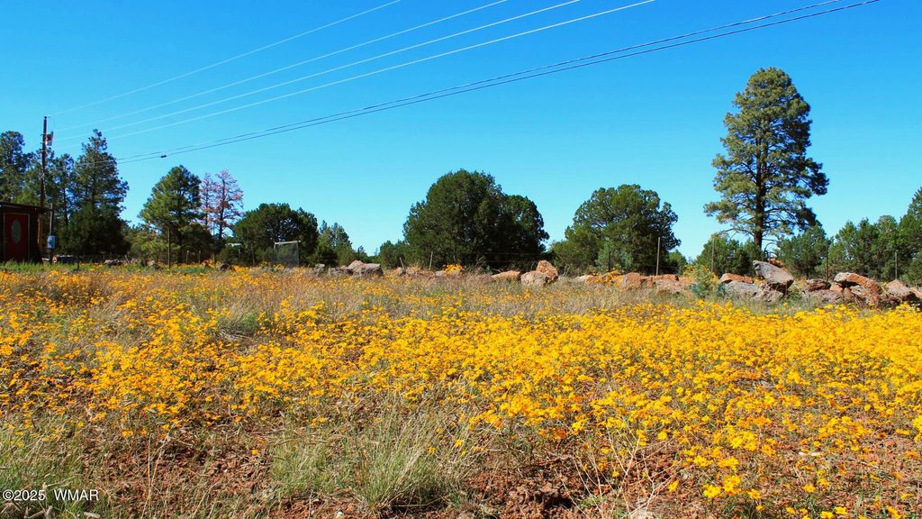 Photo for 2966 Johnson Street, Lakeside, AZ 85929 (MLS # 258437)