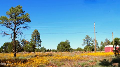 Tiny photo for 2966 Johnson Street, Lakeside, AZ 85929 (MLS # 258437)