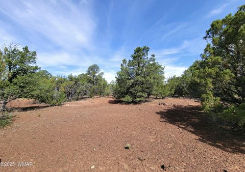 Tiny photo for Vernon, AZ 85940 (MLS # 256199)