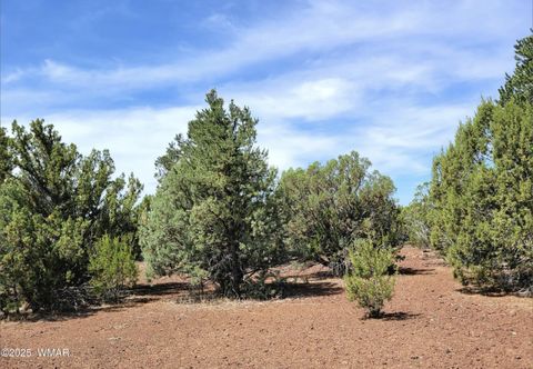 Tiny photo for Vernon, AZ 85940 (MLS # 256199)