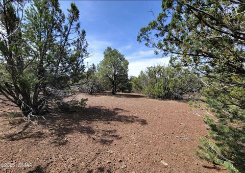 Tiny photo for Vernon, AZ 85940 (MLS # 256199)