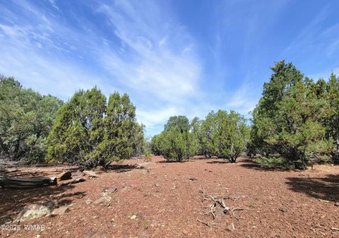 Tiny photo for Vernon, AZ 85940 (MLS # 256199)
