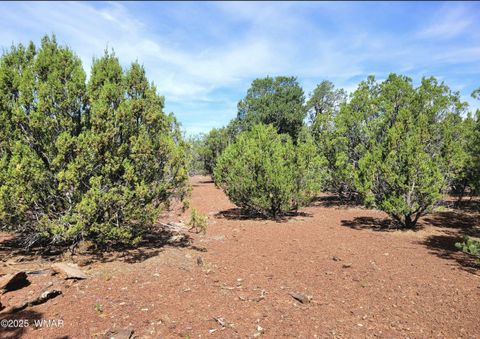 Tiny photo for Vernon, AZ 85940 (MLS # 256199)