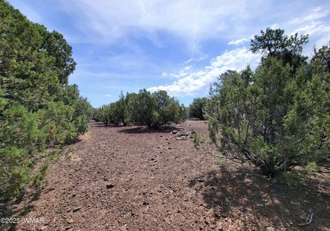 Tiny photo for Vernon, AZ 85940 (MLS # 256199)