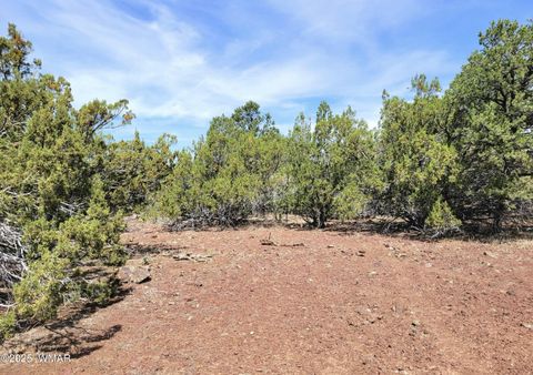 Tiny photo for Vernon, AZ 85940 (MLS # 256199)