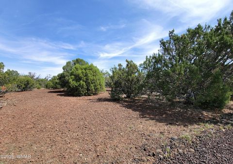 Tiny photo for Vernon, AZ 85940 (MLS # 256199)