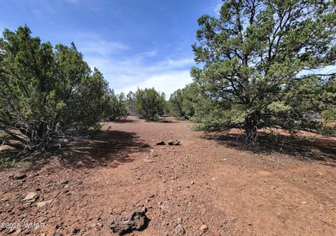 Tiny photo for Vernon, AZ 85940 (MLS # 256199)