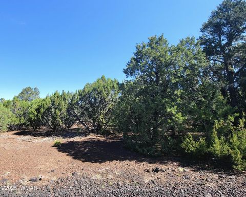 Tiny photo for Vernon, AZ 85940 (MLS # 256199)