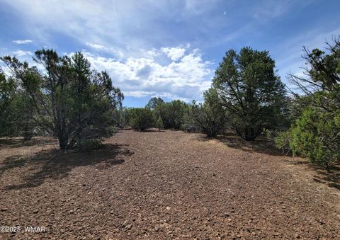 Tiny photo for Vernon, AZ 85940 (MLS # 256199)