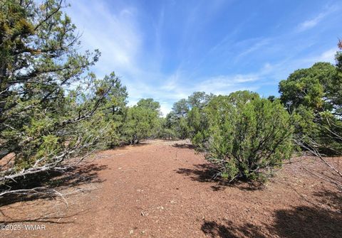 Tiny photo for Vernon, AZ 85940 (MLS # 256199)
