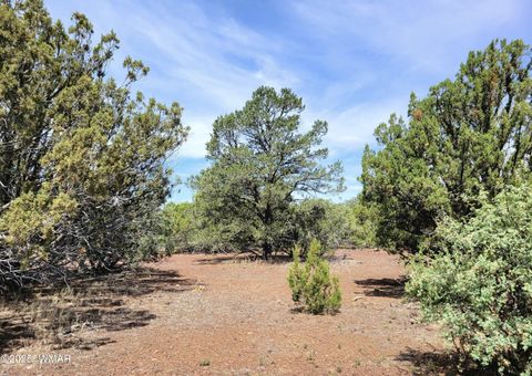 Tiny photo for Vernon, AZ 85940 (MLS # 256199)