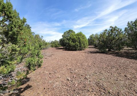 Tiny photo for Vernon, AZ 85940 (MLS # 256199)