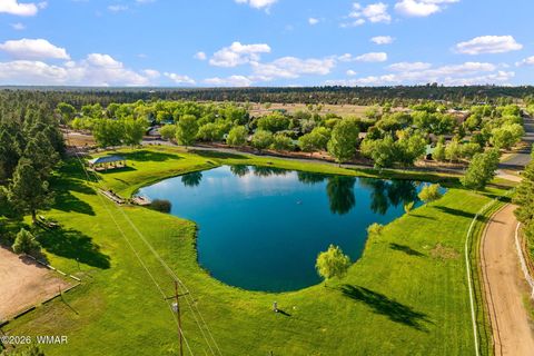 Tiny photo for 2359 Quarter Horse Trail, Overgaard, AZ 85933 (MLS # 259898)