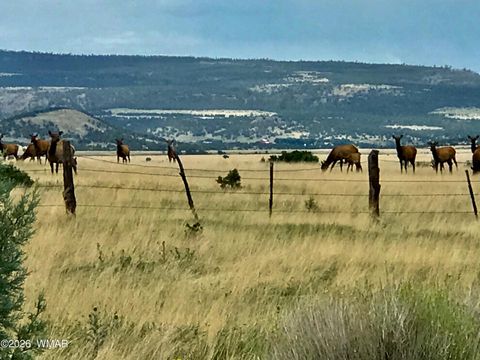 Tiny photo for 0 Tract C TBD, Nutrioso, AZ 85932 (MLS # 259869)